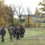 Pheasant hunt in pheasantry Hluboká nad Vltavou