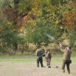 Pheasant hunt in the Czech Rebublic, Hluboka nad Vltavou