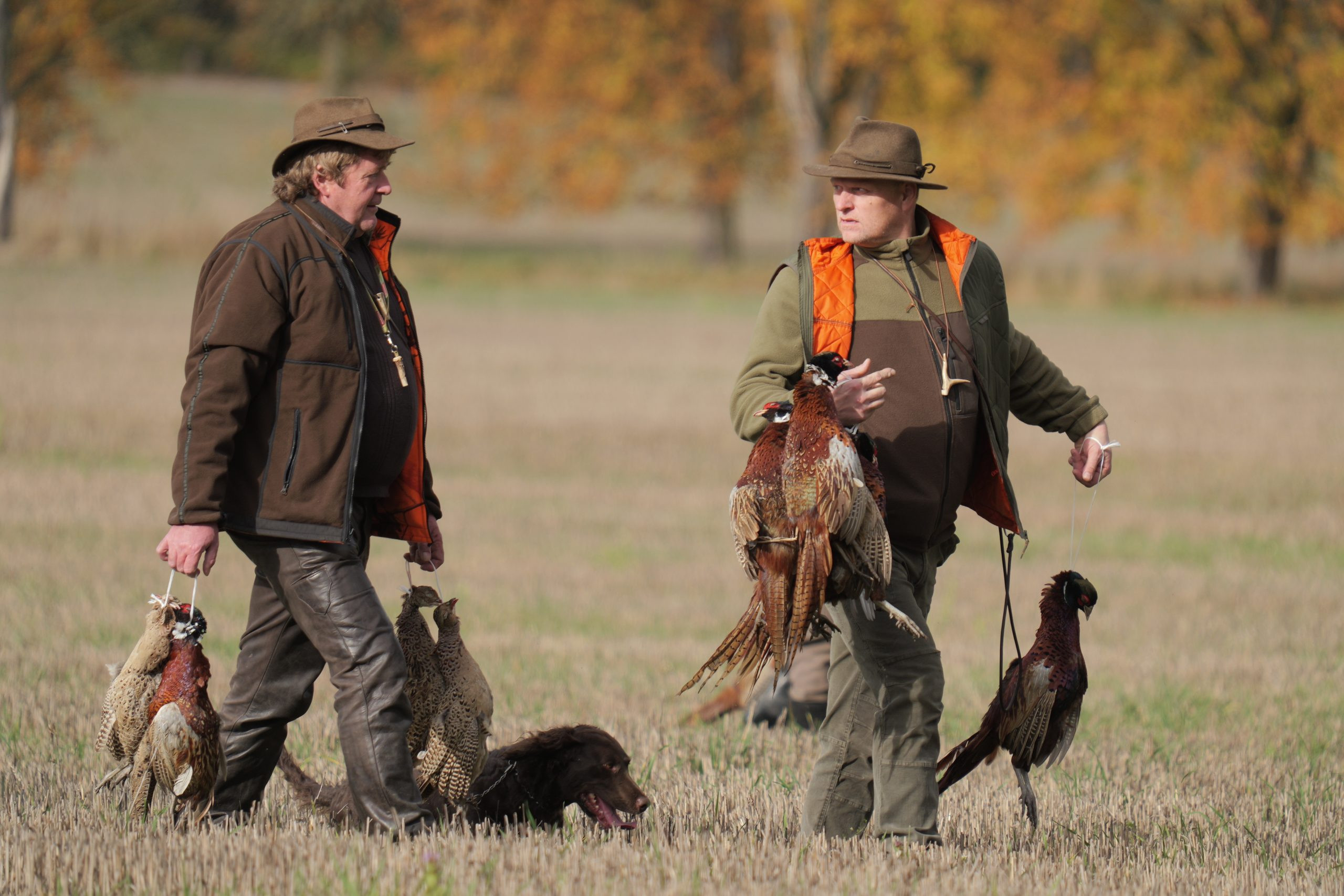 Pheasant hunt package in Hluboká nad Vltavou