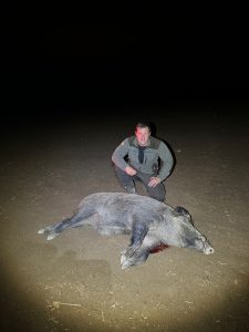 Wild boar hunt in the river valley Oslava 1