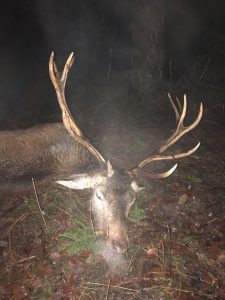 Hunting permit hunting ground Lasvice 2026/2027 3