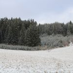 Hunting ground Heřmanov