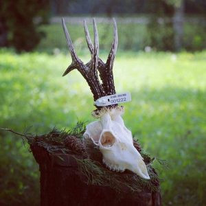 Roebuck hunt in Serbia 2026 2