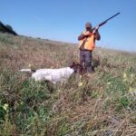 Quail hunting in Serbia (66)