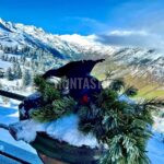 Black grouse hunt in Obergur, Austria