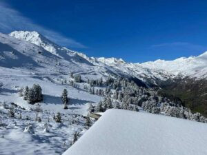 Hunting black grouse in Austria - complete package 2026 0