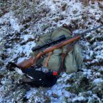 Hunting black grouse in Austria