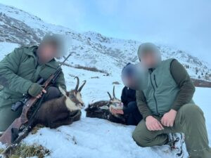 Hunting chamois in Austria - complete package 2026 2
