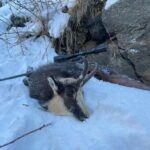 Obergur area, Austria (3)