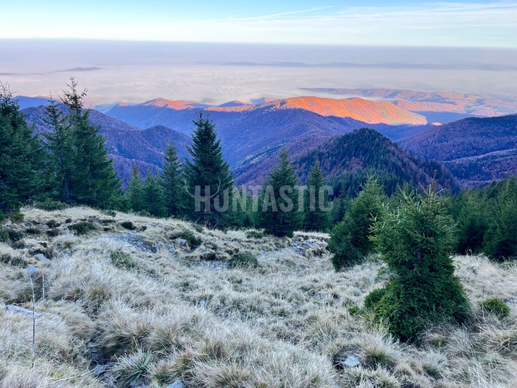 Hunting area Sibiu in Romania  ✅ Bear hunt ✅ Chamois hunt ✅ Red stag hunt in Romania