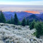 Hunting area Sibiu in Romania ✅ Brown bear hunting ✅ Chamois hunting ✅ Red stag hunting in Romania