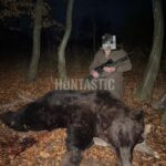 Bear hunt in Romania
