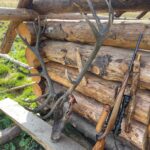 Hunt in Romania, Sibiu