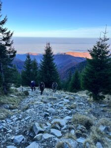 Brown Bear Hunting in Romania in Autumn 2026 3