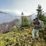 Hunt in Romania, Sibiu
