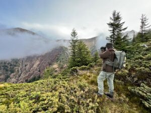 Brown Bear Hunting in Romania in Autumn 2026 2