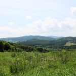 # Hunting Ground Přízeř (1)