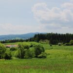 Hunting ground Přízeř (53)