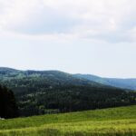 Hunting ground Přízeř (57)