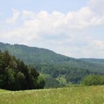 Hunting ground Přízeř (72)