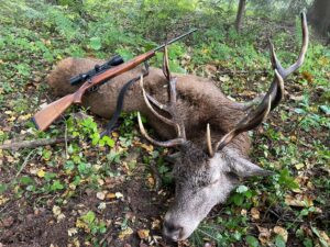 Hunting red stag in Šumava 2027 0