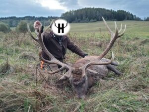 Hunting red stag in Šumava 2027 1