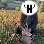 Roe buck hunt in the Czech Republic in hunting ground Koloděje