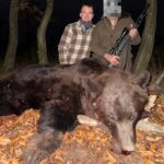 # Brown Bear Hunting in Romania in Autumn