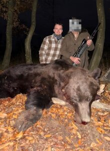 Brown Bear Hunting in Romania in Autumn 2026 1