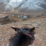Hunt in Kyrgyzstan