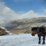 Hunt in Kyrgyzstan