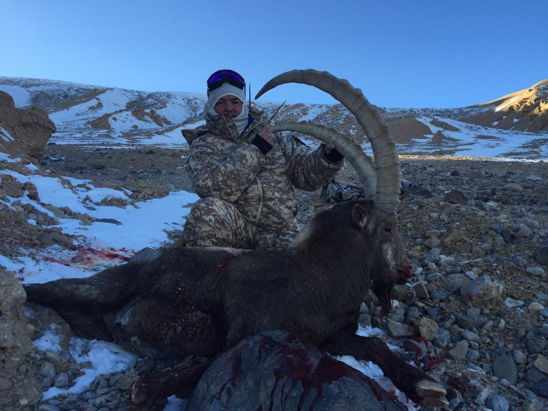 Siberian Ibex hunt in Kyrgyzstan 2025