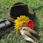 Quail hunting Serbia, Ada