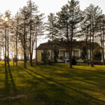 Quail hunt in Serbia, Ada hunting area