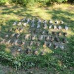 Quail hunt in Serbia, Ada hunting area