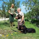 Quail hunting Serbia, Ada