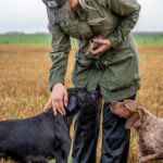 Quail hunting Serbia, Ada (34)