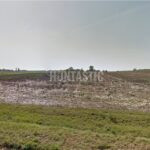 Hunting area Ada in Serbia