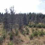 Hunting ground Podloučná