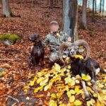 Lov muflona Český ráj 2025