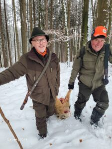Driven hunt 2-days in Buchlov forests, Czech Republic 2025 1