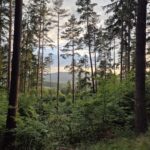 Hunting Ground Blanský Les