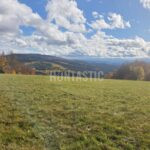 Hunting ground Blanský les