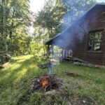 Hunting Ground Blanský Les