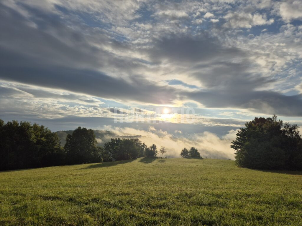 Hunting ground Blanský les ✅ Red stag hunting ✅ Wild boar hunting ✅ Roe buck hunting