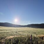 Hunting Ground Blanský les