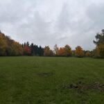 Hunting Ground Blanský les