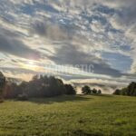 Hunting Ground Blanský les