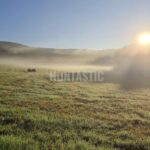 Hunting Ground Blanský les