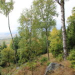 Hunting Ground Podloučná